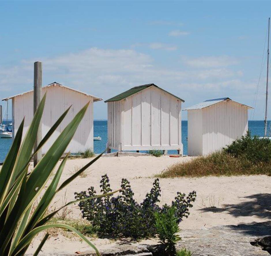 Ile de Noirmoutier proche du du Camping Les Sirènes 3 étoiles à Saint-Jean-de-Monts 