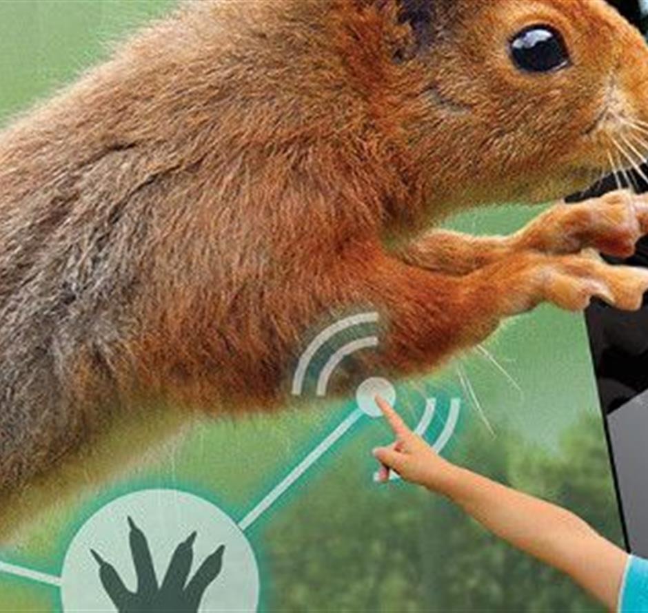 Biotopia proche du camping La Pomme de Pin à St jean de monts 