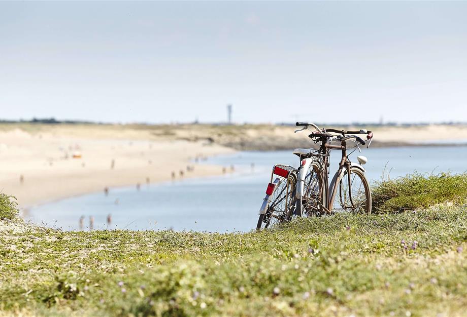 découvrir la Vendée à vélo  - CAMPING**** Les Sirènes