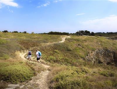 Randonnée près du camping 3 étoiles Les Sirènes à Saint-Jean-de-Monts