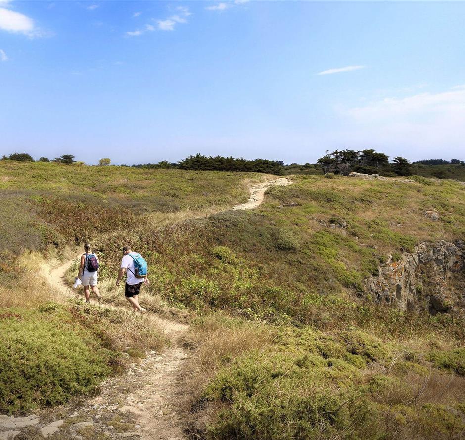 Randonnée près du camping 3 étoiles Les Sirènes à Saint-Jean-de-Monts 