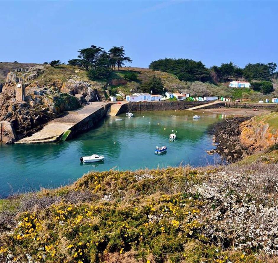 Ile d'Yeu près du Camping Les Sirènes 3 étoiles 
