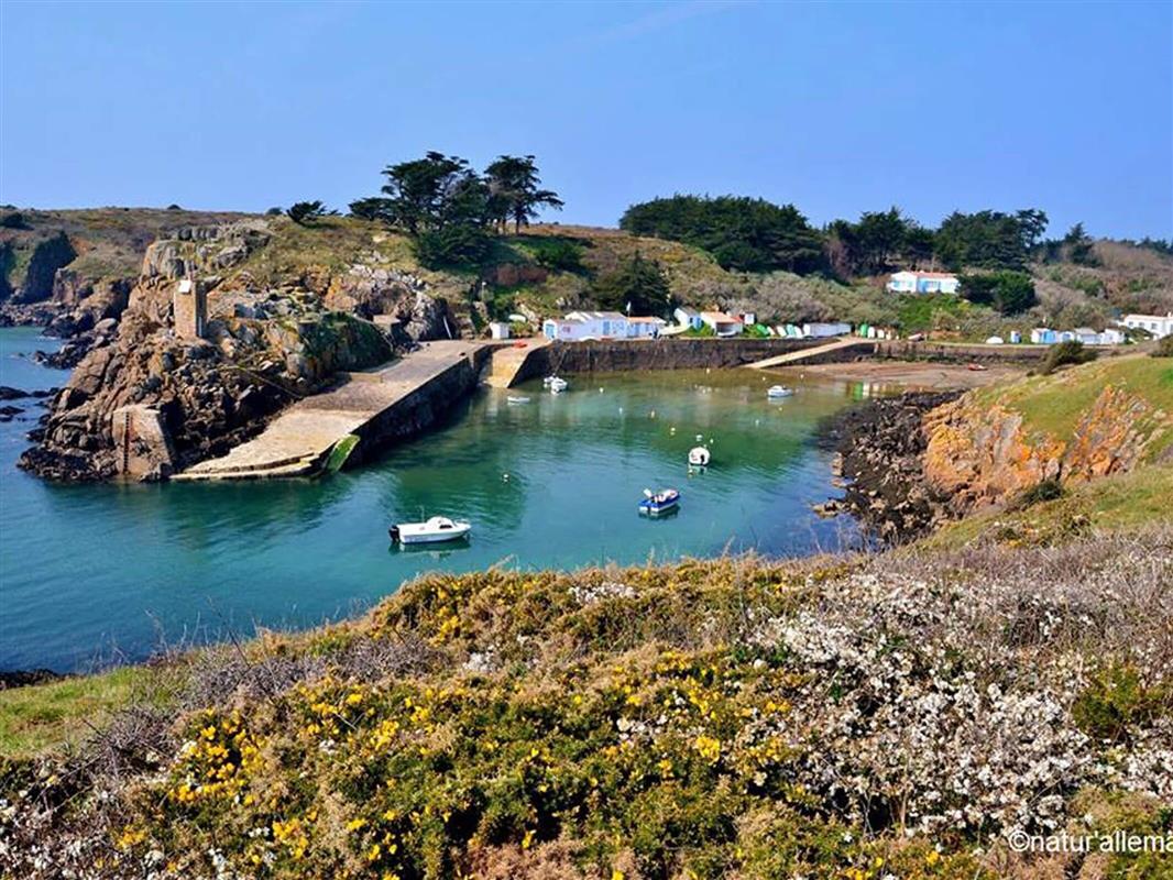 L'île d'Yeu proche de St Hilaire de Riez Les incontournables aux