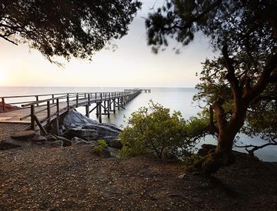 Ile de Noirmoutier proche du du Camping Les Sirènes 3 étoiles à Saint-Jean-de-Monts