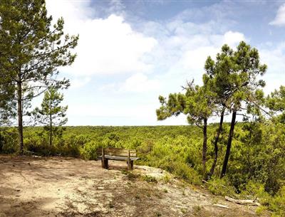 Saint-Jean-de-Monts, aux alentours du camping Les Sirènes 3 étoiles en Vendée
