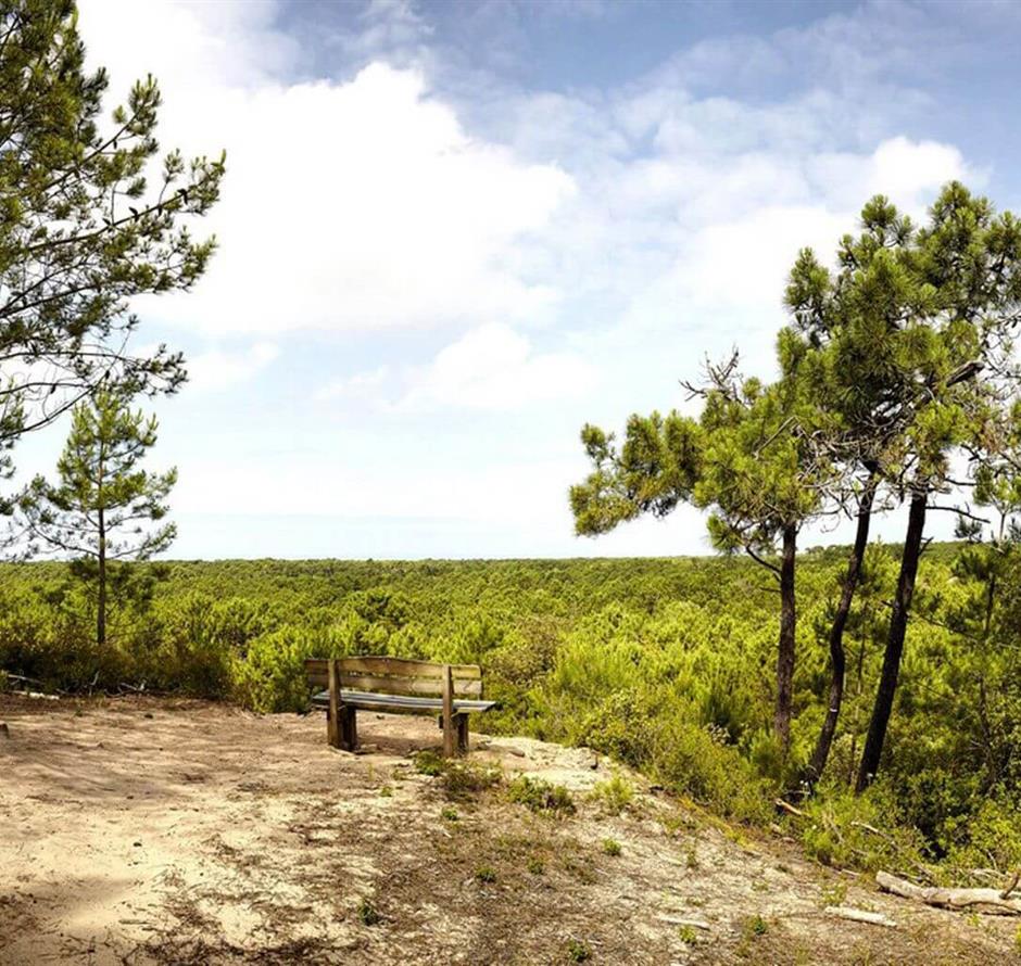 Saint-Jean-de-Monts, aux alentours du camping Les Sirènes 3 étoiles en Vendée 