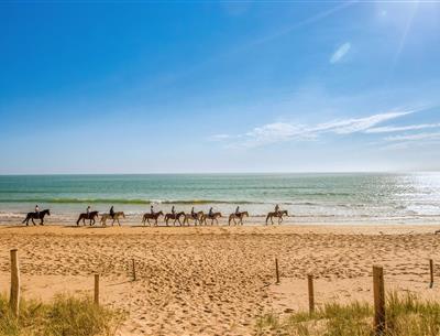 Diverses activités tournées autour de la nature aux alentours du Camping Les Sirènes 3 étoiles