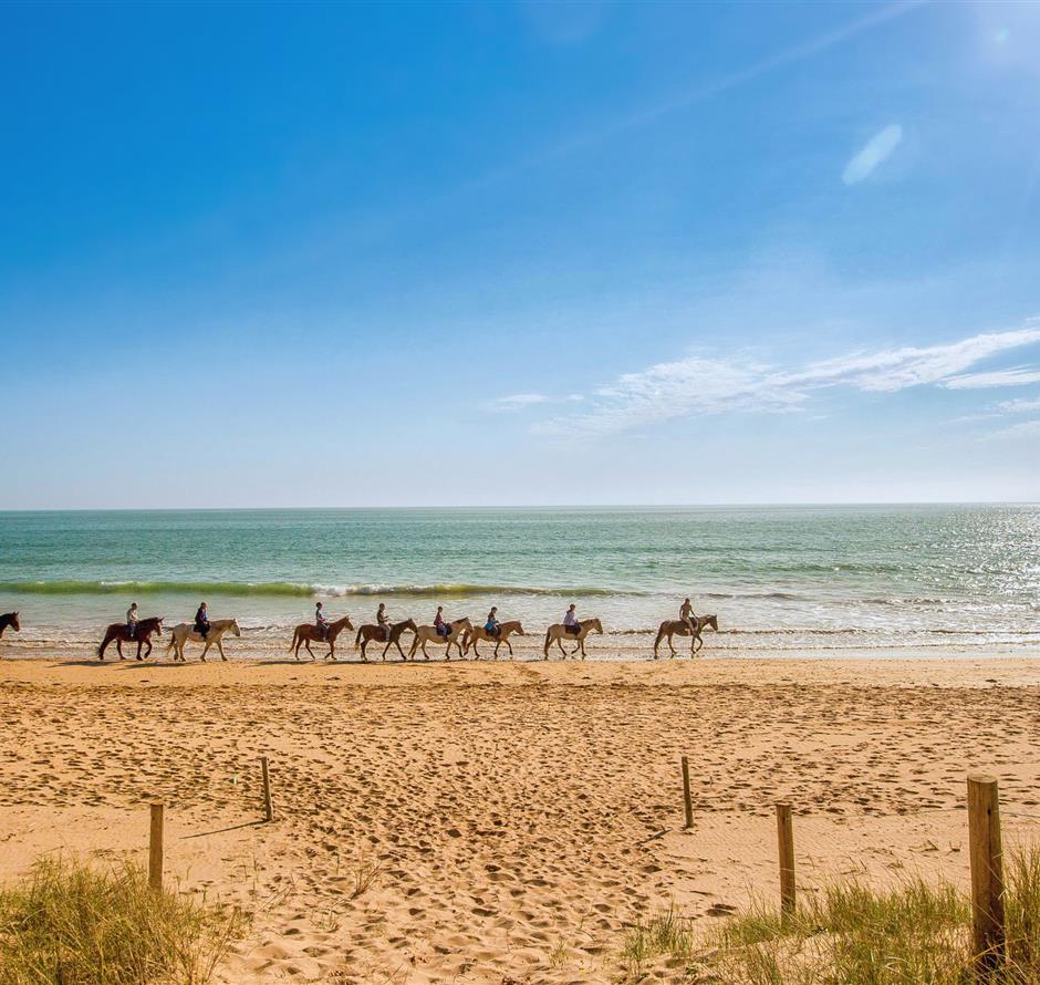 Diverses activités tournées autour de la nature aux alentours du Camping Les Sirènes 3 étoiles 