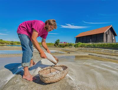 Diverses activités tournées autour de la nature aux alentours du Camping Les Sirènes 3 étoiles