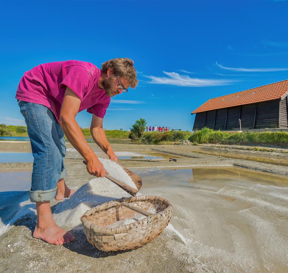 Diverses activités tournées autour de la nature aux alentours du Camping Les Sirènes 3 étoiles 