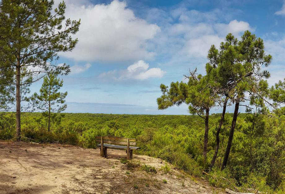 activités et lieux à découvrir près du Camping Les Sirènes 3 étoiles à Saint-Jean-de-Monts - CAMPING**** Les Sirènes