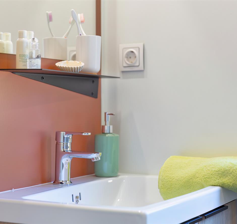 salle de bain du Cottage 2 pers 4 fleurs 