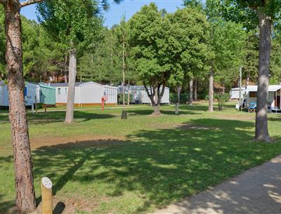 Emplacements nus sans électricité au camping Les Sirènes à Saint-Jean-de-Monts