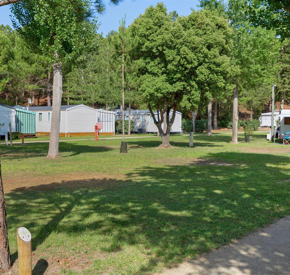 Emplacements nus sans électricité au camping Les Sirènes à Saint-Jean-de-Monts 