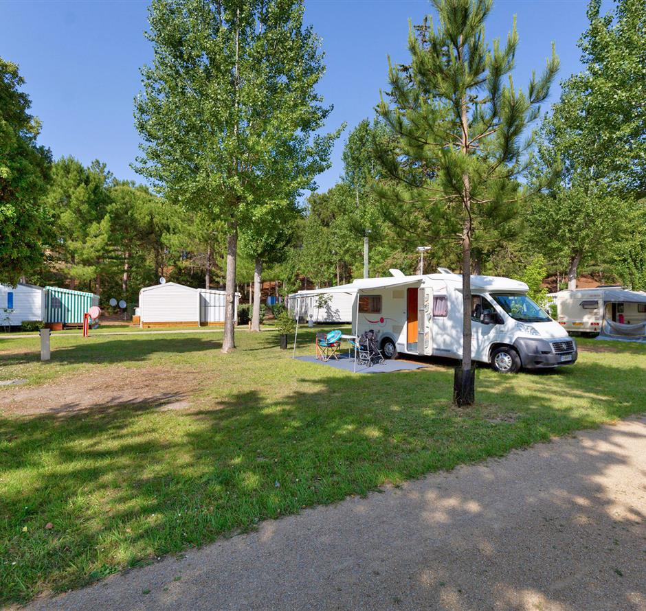 Emplacements nus avec électricité 2 fleurs au Camping Les Sirènes 
