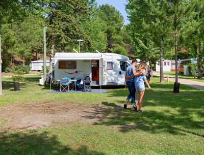 Emplacements nus avec électricité 2 fleurs au Camping Les Sirènes
