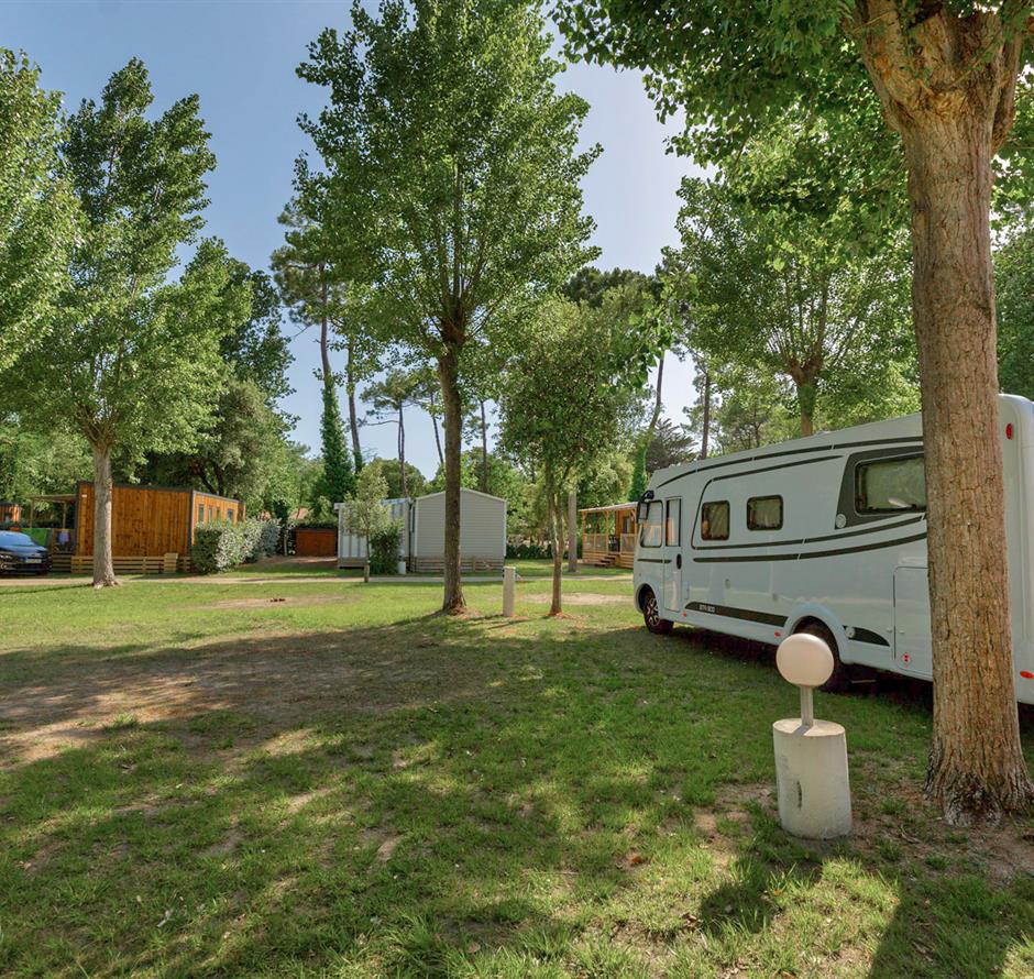 Emplacements nus avec électricité 2 fleurs au Camping Les Sirènes 