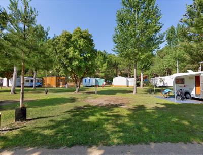 Emplacements nus sans électricité au camping Les Sirènes à Saint-Jean-de-Monts