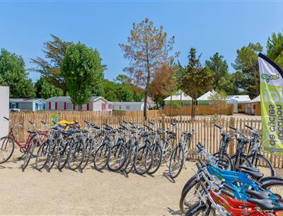 Location de vélo à Saint-Jean-de-Monts en Vendée