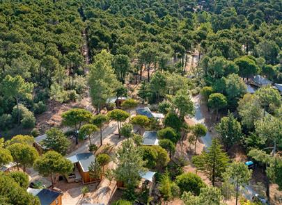 Nature et pinède au camping 3 étoiles Les Sirènes à Saint-Jean-de-Monts - CAMPING**** Les Sirènes