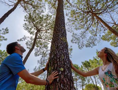 Camping Eco-résponsable, Camping 3 étoiles Les Sirènes à Saint Jean de monts en Vendée
