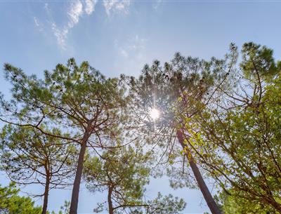 Camping Eco-résponsable, Camping 3 étoiles Les Sirènes à Saint Jean de monts en Vendée