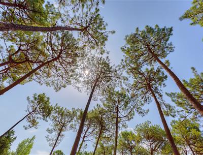 Camping Eco-résponsable, Camping 3 étoiles Les Sirènes à Saint Jean de monts en Vendée