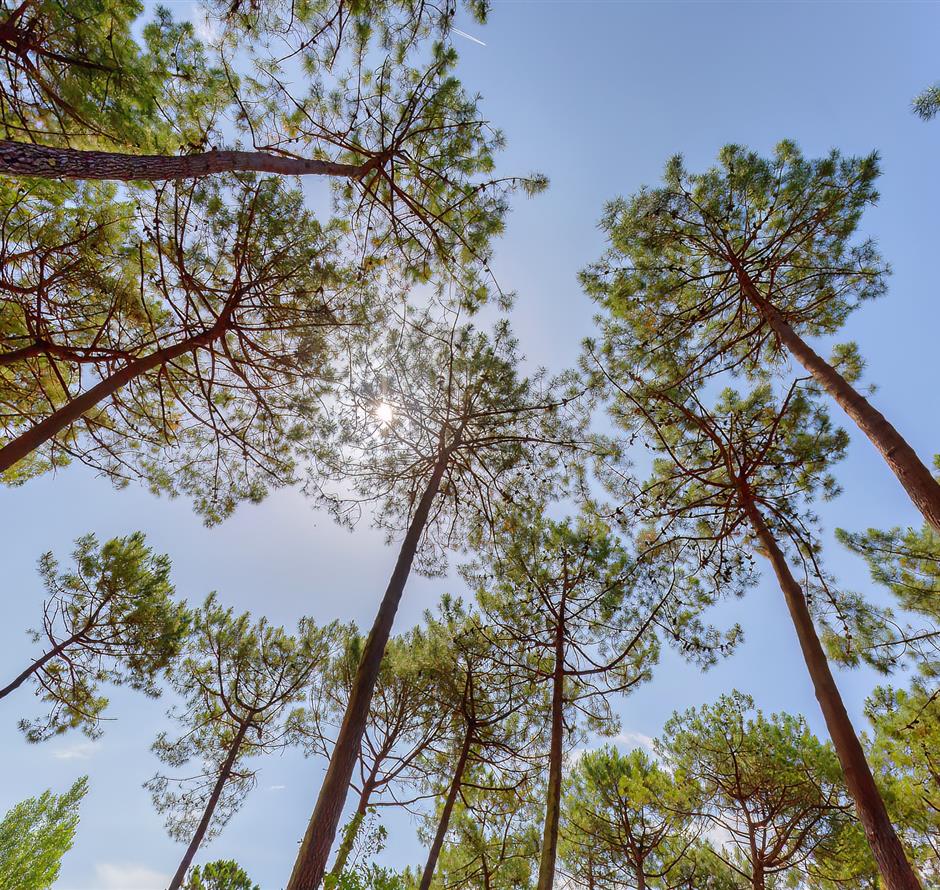 Camping Eco-résponsable, Camping 3 étoiles Les Sirènes à Saint Jean de monts en Vendée 