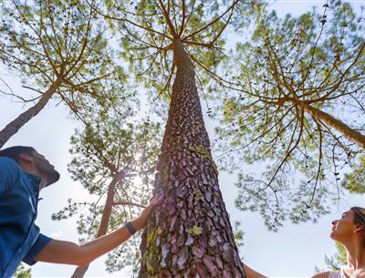 Forêt du Pays de Saint-Jean-de-Monts en Vendée près du Camping Les Sirènes 3 étoiles