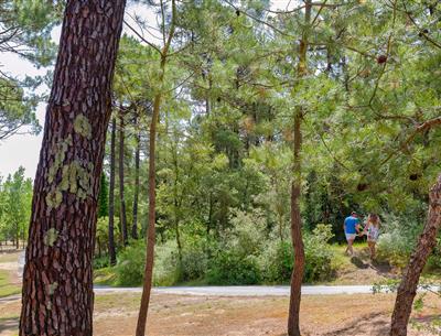 Forêt du Pays de Saint-Jean-de-Monts en Vendée près du Camping Les Sirènes 3 étoiles