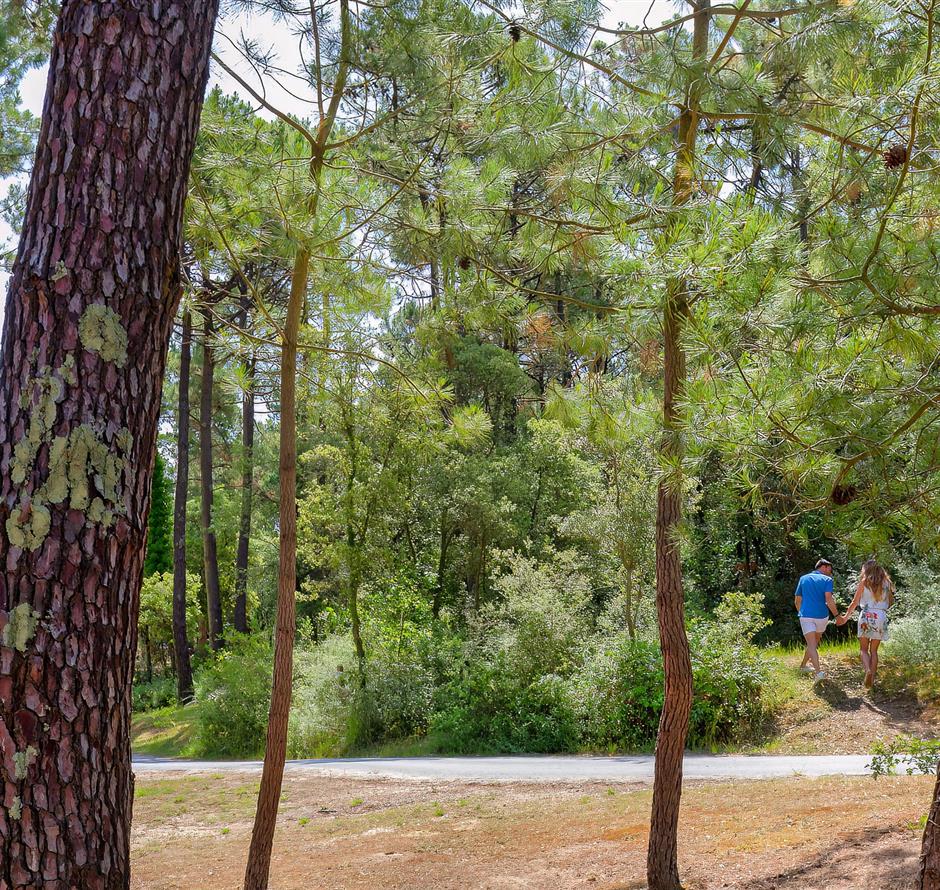 Forêt du Pays de Saint-Jean-de-Monts en Vendée près du Camping Les Sirènes 3 étoiles 