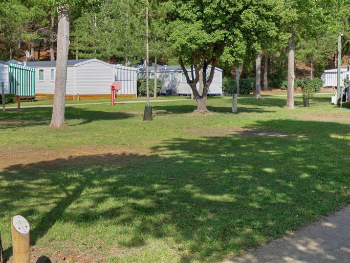 Emplacements nus sans électricité au camping Les Sirènes à Saint-Jean-de-Monts