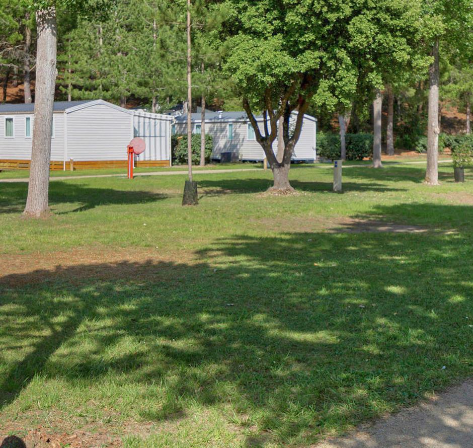 Emplacements nus sans électricité au camping Les Sirènes à Saint-Jean-de-Monts 