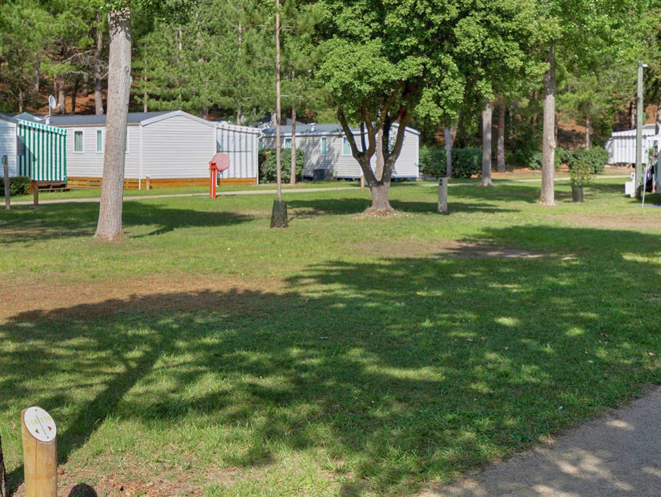 Emplacements nus sans électricité au camping Les Sirènes à Saint-Jean-de-Monts - CAMPING**** Les Sirènes