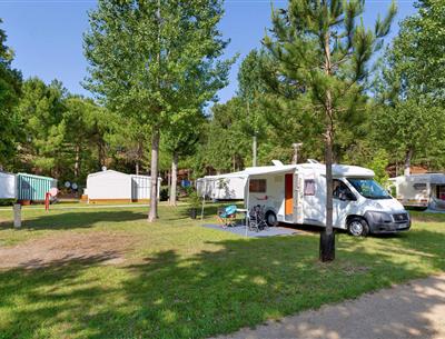 Emplacements nus avec électricité 2 fleurs au Camping Les Sirènes