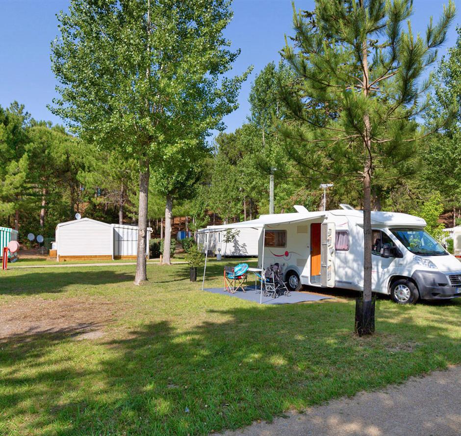 Emplacements nus avec électricité 2 fleurs au Camping Les Sirènes 