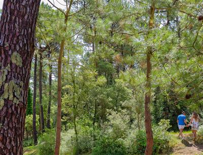 Forêt du Pays de Saint-Jean-de-Monts en Vendée près du Camping Les Sirènes 3 étoiles
