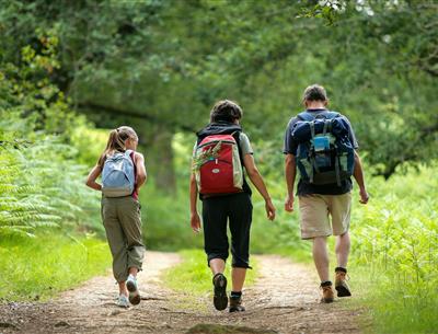 Randonnée près du camping 3 étoiles Les Sirènes à Saint-Jean-de-Monts