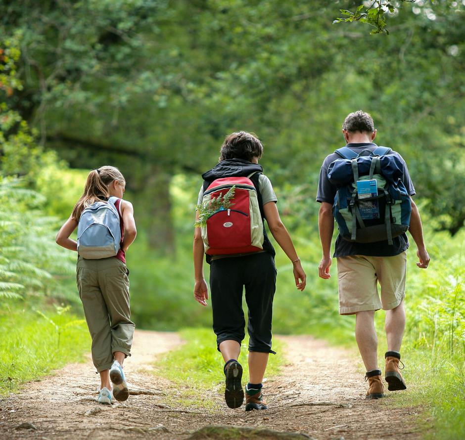 Randonnée près du camping 3 étoiles Les Sirènes à Saint-Jean-de-Monts 