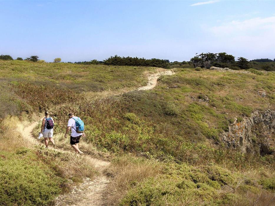 Randonnée près du camping 3 étoiles Les Sirènes à Saint-Jean-de-Monts - CAMPING**** Les Sirènes