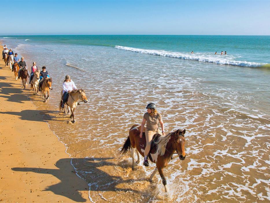 Diverses activités tournées autour de la nature aux alentours du Camping Les Sirènes 3 étoiles - CAMPING**** Les Sirènes