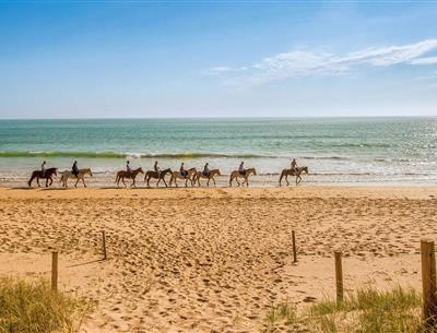 Diverses activités tournées autour de la nature aux alentours du Camping Les Sirènes 3 étoiles