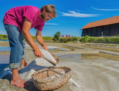 Diverses activités tournées autour de la nature aux alentours du Camping Les Sirènes 3 étoiles