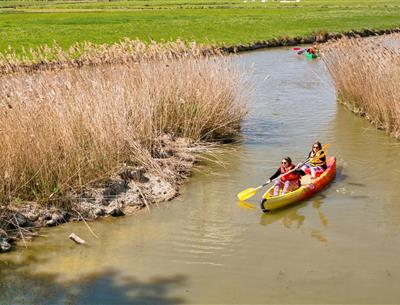 Kayak et Paddle près du Camping Les Sirènes 3 étoiles
